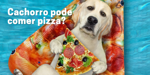Cachorro pode comer pizza? Descubra o que é seguro para seu pet
