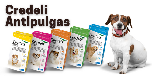 Credeli: Comprimido contra pulgas e carrapatos para Cães