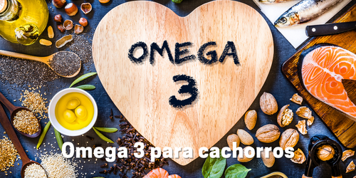 Omega 3 para cachorro