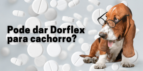 Dorflex para Cachorro: Posso Dar? Alternativas Seguras e Cuidados