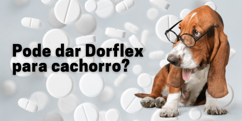 Pode dar Dorflex para Cachorro?