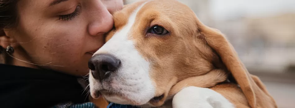 Amor Com Cachorro