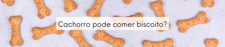 Cachorro Pode Comer Biscoito