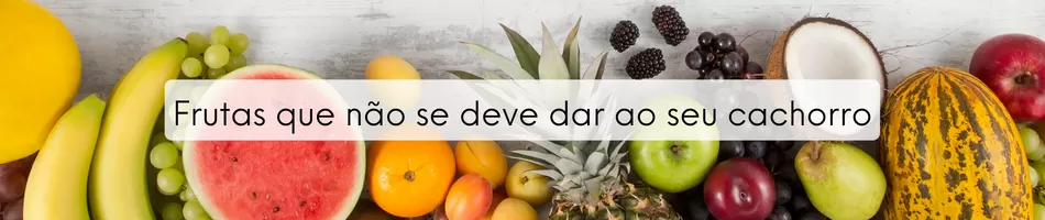 Frutas Que Não Se Deve Dar Ao Seu Cachorro